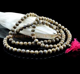8 mm Buddha Eyes Carved Conch Shell Mala