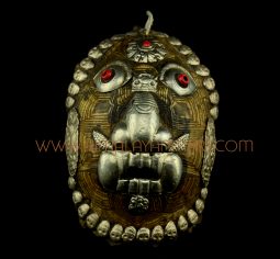 6.5” Tortoise Mask