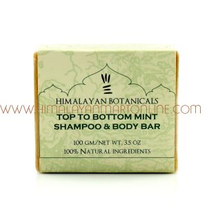 Top To Bottom Mint Shampoo and Body Bar