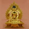 Framed Medicine Buddha Statue