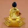 Framed Medicine Buddha Statue