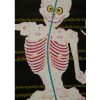 Medical Thangka