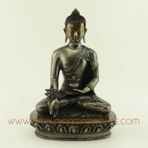 8.5” Medicine Buddha Statue