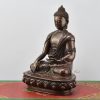 Shakyamuni Buddha Statue Left Detail