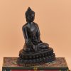 Menla Buddha Ritual Rupa