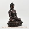 Buddha Statue Amitabha Right Detail
