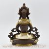 Online Aparamita Buddha Statue Back Detail