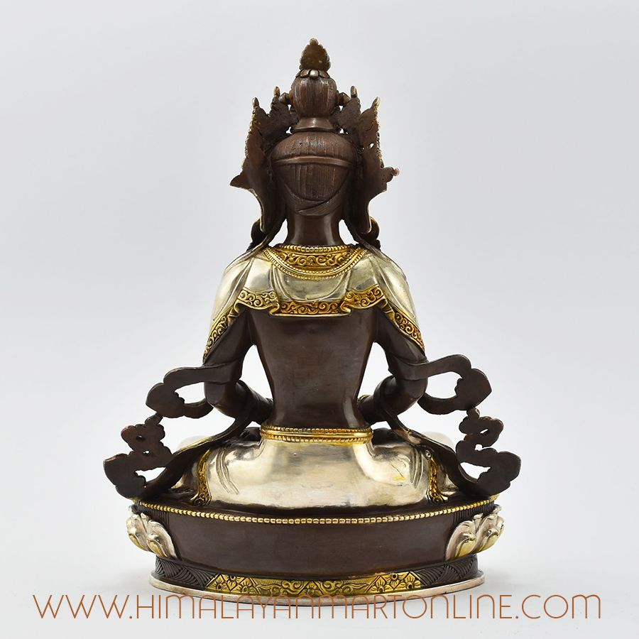 Online Aparamita Buddha Statue Back Detail